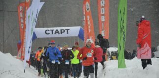 Золото на снегу