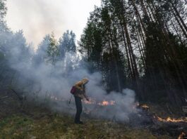 Глава региона напомнил свердловчанам о цене беспечности в лесах