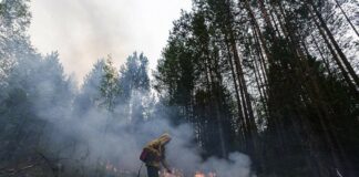Глава региона напомнил свердловчанам о цене беспечности в лесах