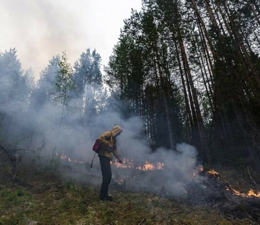 Глава региона напомнил свердловчанам о цене беспечности в лесах