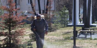 Клещам здесь не место