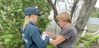 Мангалы и костры под запретом: инспекторы МЧС проверили сады Пановки и Горного