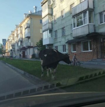 Пасторальные пейзажи городских улиц