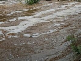 Лето под водой