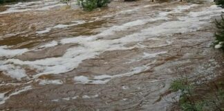 Лето под водой