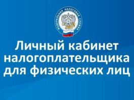Проверить актуальность данных об объектах налогообложения можно в личном кабинете