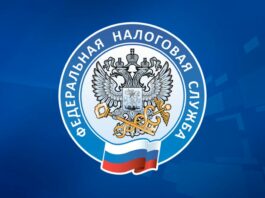 Налоговые каникулы для малого бизнеса: порог по НДС заморожен на уровне 20 млн рублей до 2029 года