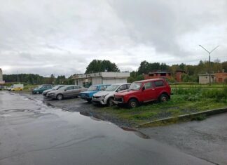 От парковки до автобусной остановки: какие дорожные вопросы интересуют лесничан?