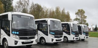 Новые современные автобусы выходят в рейс