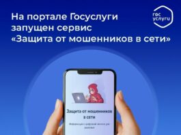 Ваша цифровая броня: на Госуслугах появился сервис защиты от мошенников