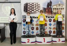 Шахматы