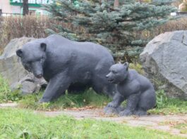 Большое переселение: куда и зачем уезжают звери из сквера Гагарина?