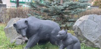 Большое переселение: куда и зачем уезжают звери из сквера Гагарина?